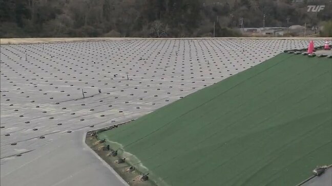 除染土を総理官邸・省庁の花壇などで再利用へ　福島県外最終処分へ基本方針まとまる|TBS NEWS DIG