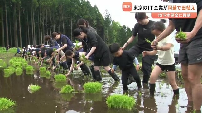 地下水保全に貢献　東京のIT企業が阿蘇で田植え|TBS NEWS DIG