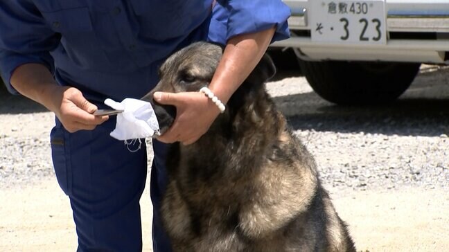 警察犬「チャンス君」が技術を披露 高校で生徒たちに訓練を公開「人間と動物との信頼関係を築いていきたい」【岡山】|TBS NEWS DIG
