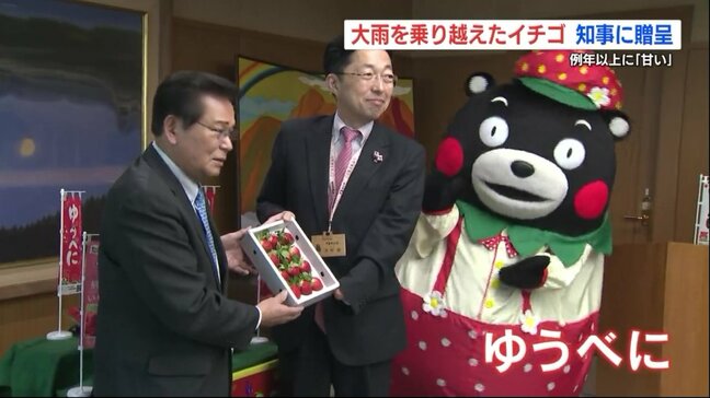 大雨被害を乗り越えたイチゴ「例年以上に甘い」 試食した熊本県知事「香りがすごくいい」|TBS NEWS DIG