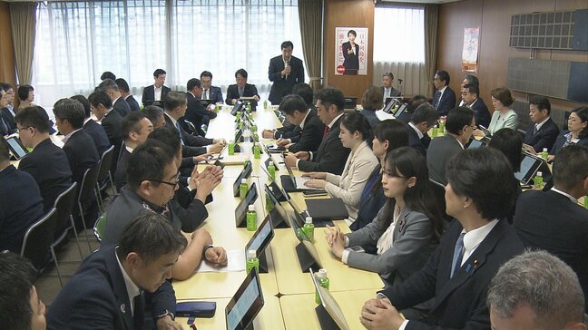 食料品の消費税「1%にすべき」意見あがらず 自民党の税制調査会で会合|TBS NEWS DIG