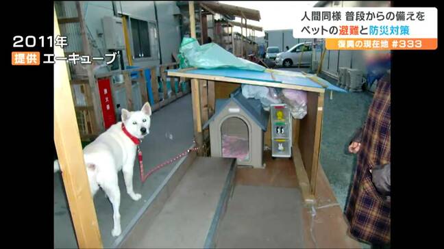 「ペット防災の備えは飼い主の責任です」災害時ペットと一緒に避難するために必要なことは『人間と同様に避難袋の用意』だけでは足りない？|TBS NEWS DIG