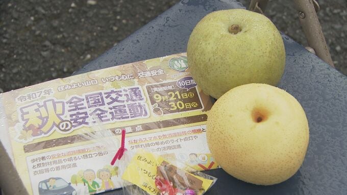 「ナシで事故なし」　特産品で交通安全を呼びかけ|TBS NEWS DIG