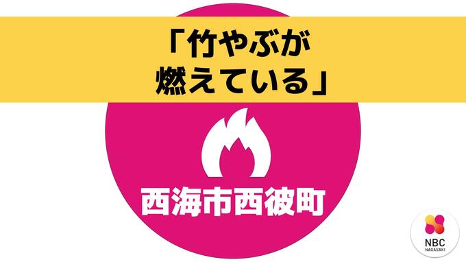 【速報】「竹やぶが燃えています。炎が見え煙も結構上がっています」通報で消火活動　長崎・西海市　12日午後0時20分|TBS NEWS DIG