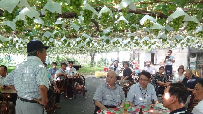 「各農園のカラー打ち出し集客を」本格的な果物狩りシーズンを前に観光農園で合同開園式 新潟市南区|TBS NEWS DIG