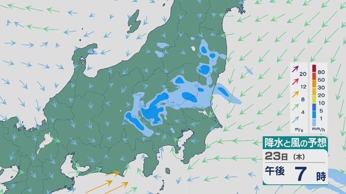23日(木)の関東甲信は夕方を中心に大気の状態が非常に不安定に 雷をともない1時間に50ミリの“非常に強い雨”のところも 大雨に注意・警戒を 雨と風シミュレーション|TBS NEWS DIG