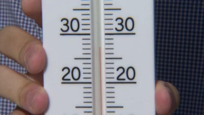 「裸でもいいかなって」最高気温は27度も 11月なのに夏日　|　愛媛のニュース - Nスタえひめ｜あいテレビは6チャンネル