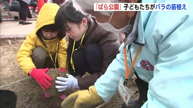 広島･福山「ばら公園」リニューアルへ　開園当初のバラ植栽　地元の児童生徒ら130人「見応えのある花壇になってほしい」　|　RCC NEWS | 広島ニュース | RCC中国放送