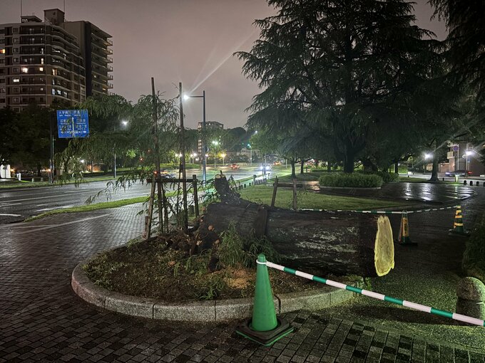 平和大通りの緑地帯でまた倒木　根元から倒れ歩道をふさぐ　けが人なし|TBS NEWS DIG