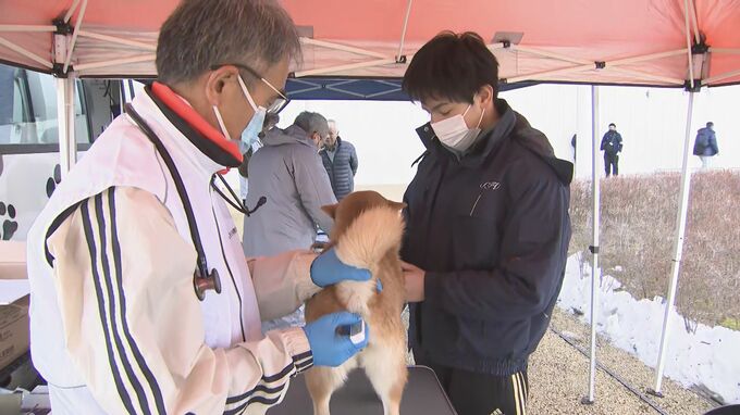 長引く避難生活「不安を少しでも解消できれば」ペットの無料検診始まる・石川県珠洲市　|　石川県のニュース｜MRO北陸放送
