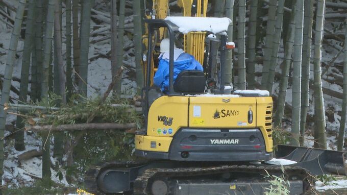 上関・中間貯蔵施設 ボーリング調査を前にした森林伐採始まる|TBS NEWS DIG