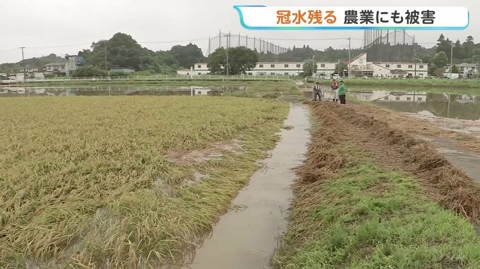 一部冠水続く千葉　農業にも深刻な被害　東京・大島町、利島村、新島村「レベル5土砂災害特別警報」を「レベル4土砂災害危険警報」に切り替え|TBS NEWS DIG
