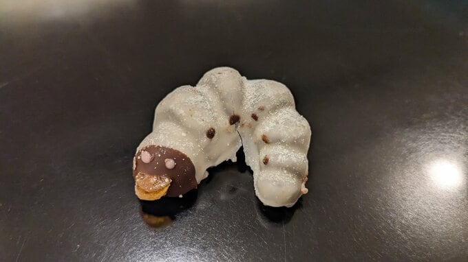 JR横手駅に「閲覧注意」なチョコを売っている自販機があった！とりあえず食べてみました。そのお味は？　秋田|TBS NEWS DIG