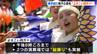 59チーム・3000人が演舞…高知・四万十市で“よさこい四万十”賑やかに　|　高知のニュース・天気｜KUTV NEWS | KUTVテレビ高知