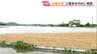 収穫間近の小麦 台風6号の影響で田んぼが“湖”のように…｢今年はちょっと厳しい｣ 三重県を中心に被害 　|　名古屋・愛知・岐阜・三重のニュース【CBC news】 | CBC web