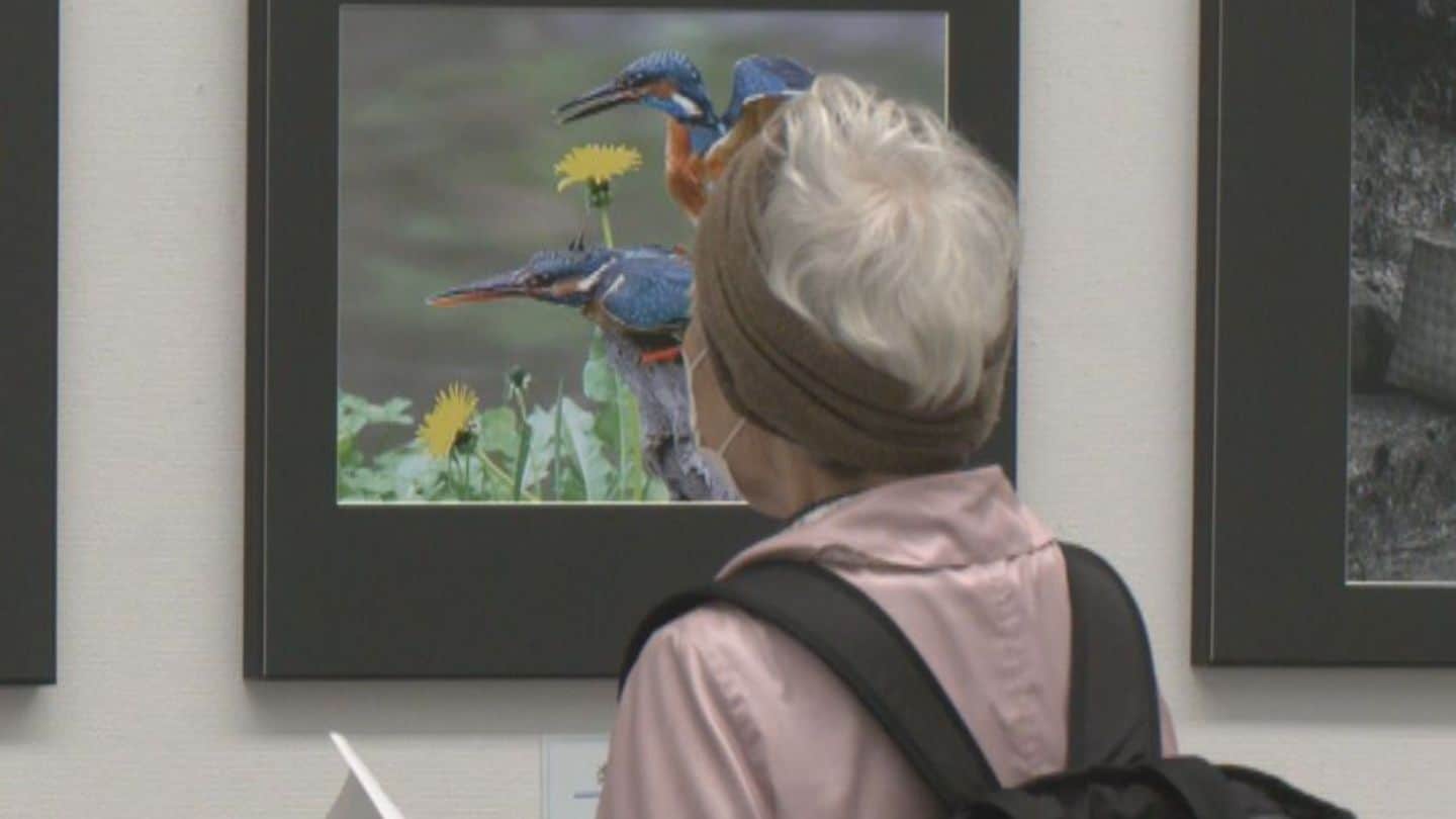 自由な作風が特徴の｢中部二科展｣が始まる　絵画・彫刻・デザイン・写真の4部門　248点の作品を展示　名古屋