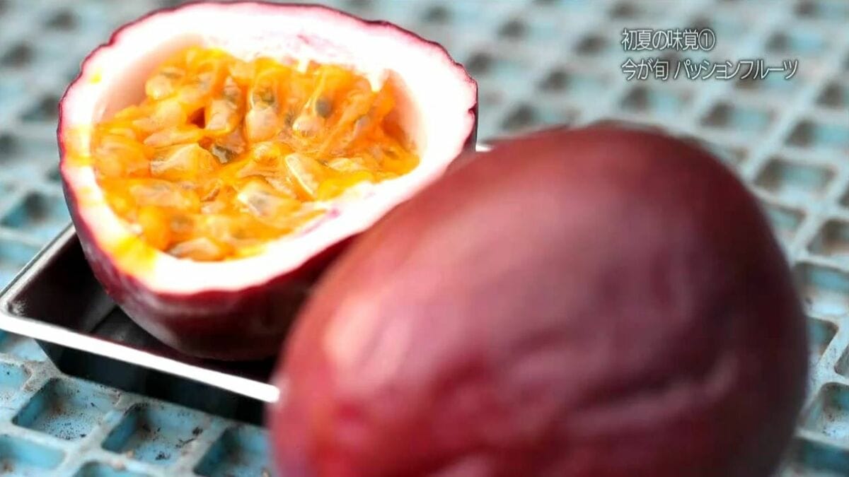 初夏の味覚 大崎町のパッションフルーツ | 鹿児島のニュース｜MBC NEWS