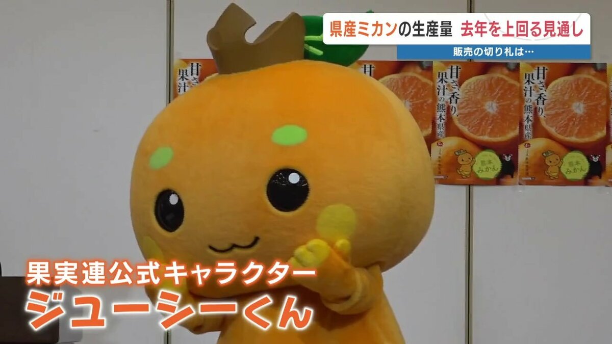 大ぶりで糖度も高く” 熊本ミカンの生産量 去年を上回る見通し | 熊本の