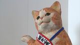 猫館長の“星野さん”が出迎えてくれる「木彫りのネコ」の作品展 瀬戸内市立美術館で8月末まで 花房さくらさんの愛らしい猫たち【岡山】|TBS NEWS DIG