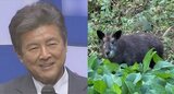 【 三浦友和 】 「なんとニホンカモシカ現る!」 国の特別天然記念物が 自身の陶芸小屋に|TBS NEWS DIG