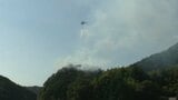 果樹園から山林に延焼「ミカンの枝を燃やしていた」 愛媛・宇和島市|TBS NEWS DIG