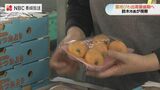 「わが子のように丁寧に」露地びわの出荷最盛期を前に市長が出荷場を視察　長崎　|　長崎のニュース | 天気 | NBC長崎放送