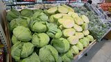 「キャベツをたくさん入れて鍋したいけど・・・」野菜の高騰に悲鳴 夏の高温・生育不足が要因か | 福岡のニュース|RKB NEWS|RKB毎日放送