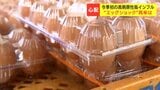 "エッグショック"再来か　今シーズン全国初の高病原性鳥インフルエンザ陽性確認　北海道白老町の養鶏場でニワトリ約46万羽が殺処分に|TBS NEWS DIG