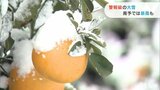 雪と風強まり荒れた天気に あす明け方にかけて大雪警戒を 愛媛 | 愛媛のニュース - Nスタえひめ|あいテレビは6チャンネル
