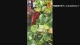 中国　白菜を発がん性指摘のホルムアルデヒドに浸したか「鮮度保つため」|TBS NEWS DIG