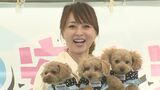 【渡辺美奈代】　ペットの災害時への備えを訴え　愛犬３匹も登場　おニャン子クラブ結成から40年で新田恵利と交流|TBS NEWS DIG