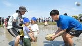 田んぼで“泥んこラグビー” 園児と静岡ブルーレヴズの選手が触れ合い=静岡・袋井市|TBS NEWS DIG