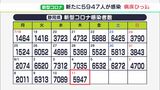 【新型コロナ】静岡県内で5947人感染 先週より1000人以上減 4日連続で前週下回る|TBS NEWS DIG