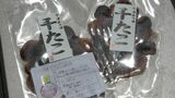 届いてびっくり!“食べられる便り” 天日干しのタコまるごと その名も「多幸(たこ)メール」|TBS NEWS DIG