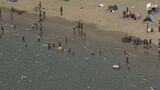 「海水浴客でいっぱい」「多くの車が列を作っている」3連休最終日“海の日”の観光地を空からのぞいてみた | 静岡のニュース | SBSNEWS | 静岡放送