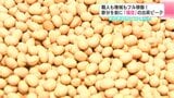 職人も機械もフル稼働！　節分を前に『福豆』の出荷ピーク　野村煎豆加工店（高知市）|TBS NEWS DIG