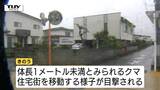 警戒続く…天童市の住宅街で相次ぐクマの目撃　箱ワナで捕獲試みるも行方をくらます（山形）　|　山形のニュース│TUYテレビユー山形