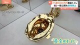 総額15億円超の「黄金トイレ」ついにオークションへ！光り輝く18金製を一般公開も使用はNG|TBS NEWS DIG