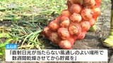 「大きさと新鮮さが魅力」安曇野市で恒例「玉ねぎ祭り」【長野】|TBS NEWS DIG