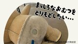 「おむつの汚れが目立ってきちゃった…」イメージキャラクター“チュッピー” のおむつを真っ白にして!クラウドファンディング始まる【岡山・総社市】|TBS NEWS DIG