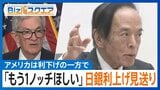 米利下げ 日銀利上げ見送り、揺れるマーケット 専門家の見解は？【Bizスクエア】|TBS NEWS DIG