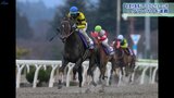 岩手競馬の年度代表馬に明け10歳のノーブルサターン グランプリ「桐花賞」を連覇 北上川大賞典など4重賞制す|TBS NEWS DIG
