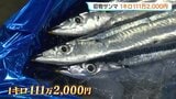 スーパーでサンマ1匹20万円「びっくり。どなたが買うのかな」札幌の市場で初物サンマの競り　史上最高値1キロ111万2000円で市内の鮮魚店が落札　8月には手ごろな価格に|TBS NEWS DIG