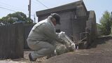沖縄独特の光景 旧暦の七夕に墓掃除 旧盆にご先祖様をお迎えする準備|TBS NEWS DIG
