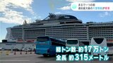 まるで一つの街!?過去最大級の大型客船が高知新港に寄港 | 高知のニュース・天気|KUTV NEWS | KUTVテレビ高知