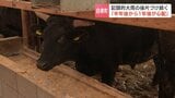 12時間で平年10月の降水量を100ミリ以上回る記録的大雨、泥流に飲み込れた牧場「牛はストレス、半年後から1年後が心配」北海道白老町 | 北海道のニュース|HBC北海道放送