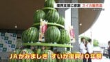 熊本地震10年　スイカ生産者が感謝の気持ち込めて　|　熊本のニュース｜RKK NEWS｜RKK熊本放送
