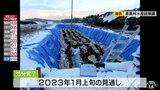 三沢市の鳥インフル・半径3キロ以内の4農場の検査結果 午後6時に判明へ 処分進ちょくは46%|TBS NEWS DIG