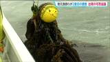 宮城海保の巡視船から重油流れ「あすからどうやって生活していけば」漁師らが2度目の調査　宮城・塩釜市　|　宮城のニュース│tbc NEWS│tbc東北放送