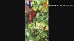 中国　白菜を発がん性指摘のホルムアルデヒドに浸したか「鮮度保つため」| TBS CROSS DIG with Bloomberg
